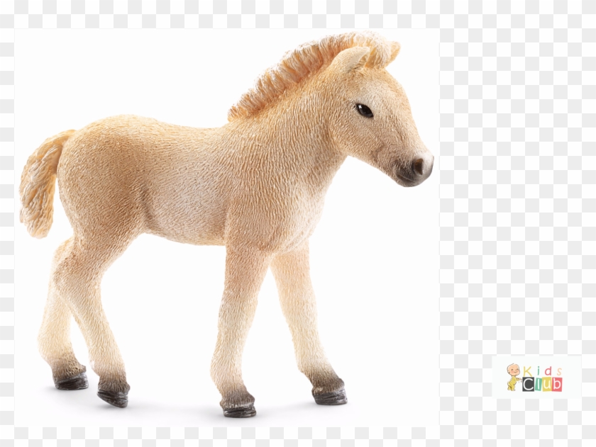 Schleich Fjord Familie Clipart #3537276