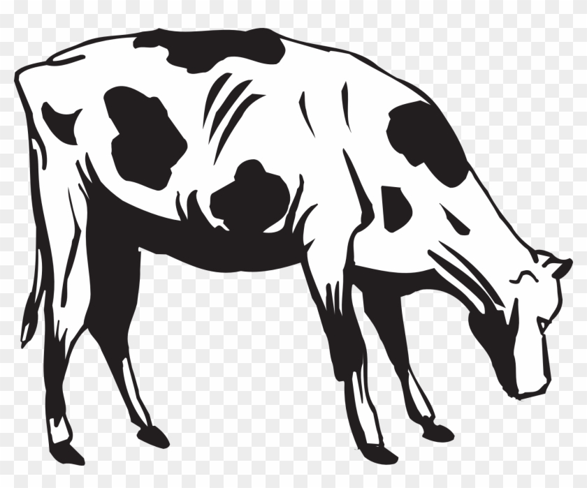 Grass Black And White Black Cow Eating Grass Clipart - Cow Eating Grass Drawing - Png Download #3538410