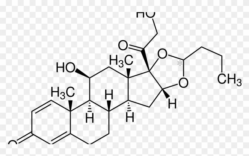 Budesonide Market Outlook - 5α Pregnane 3 20 Dione Clipart #3538842