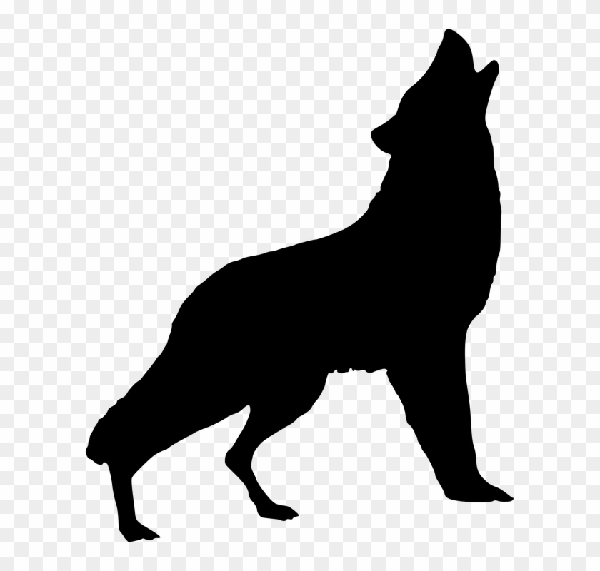 Silhouette, Wolf, Howling, Art, Wild, Animal, Nature - Wolf Howling Transparent Background Clipart #3539199