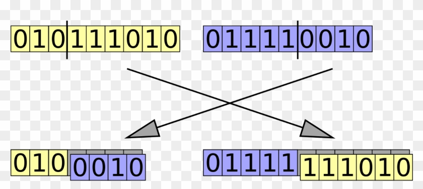 Keki Burjorjee - Genetic Algorithm Order Crossover Clipart #3539547