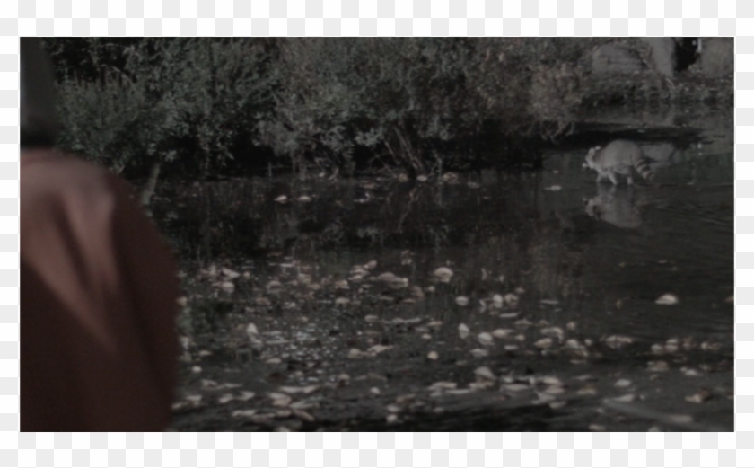 Between Reality Desired Harmony - Rain Clipart #3539969