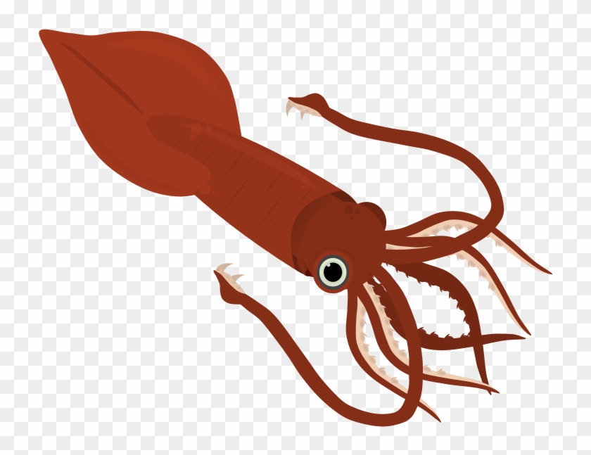 Colossal Squid Misc Art - Giant Squid Clipart