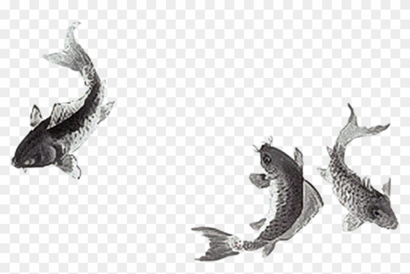 Petit Poisson Noir Et Blanc Clipart