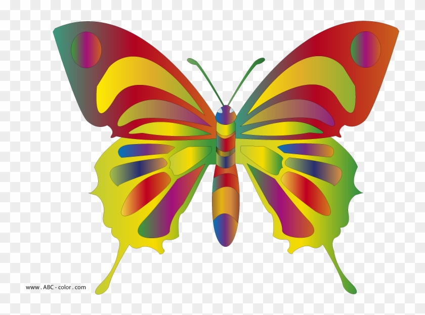 Clipart Butterflies - Butterfly Clip Art - Png Download