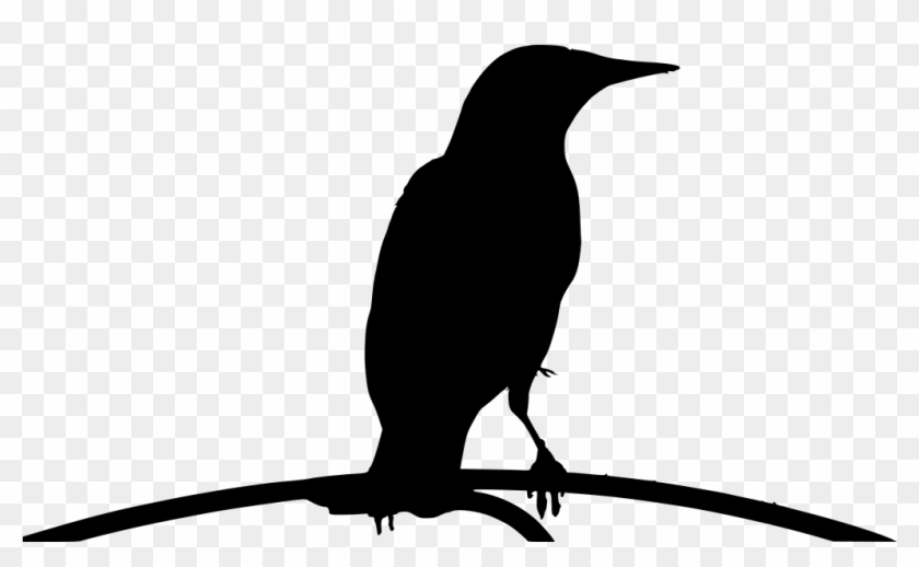 Download Png - Crow Clipart #3542095