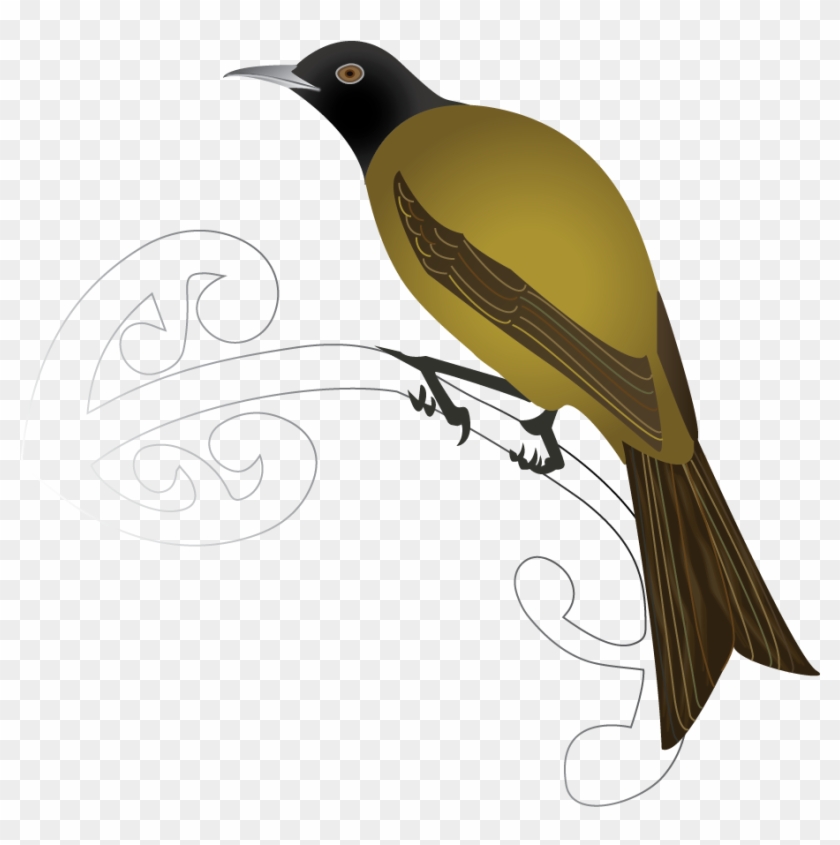 Chatham Bellbird - Old World Oriole Clipart #3542487