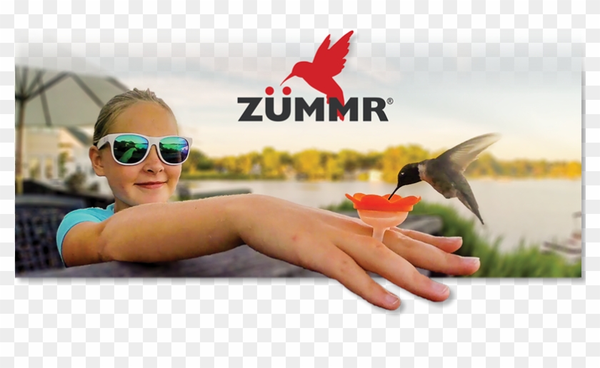 Hummingbird Ring Feeder Clipart