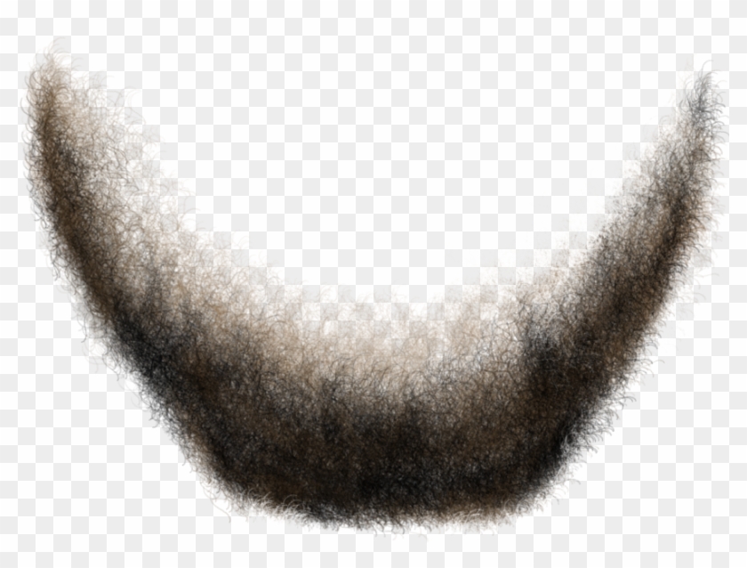 Sketch Clipart #3542649