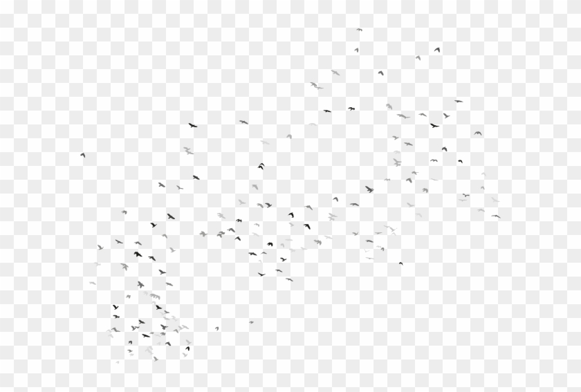 Flock Clipart