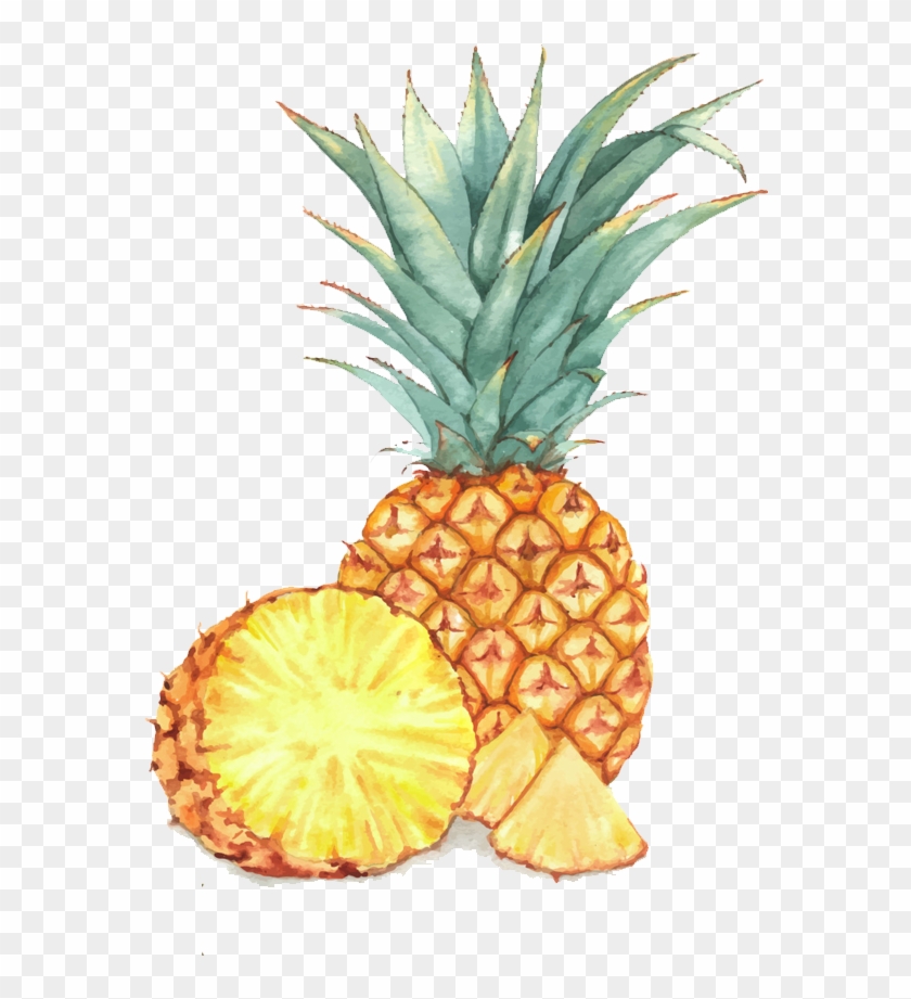 Watercolor Painting Illustration A Transprent Png Free - Watercolor Painting Of Pineapple Clipart