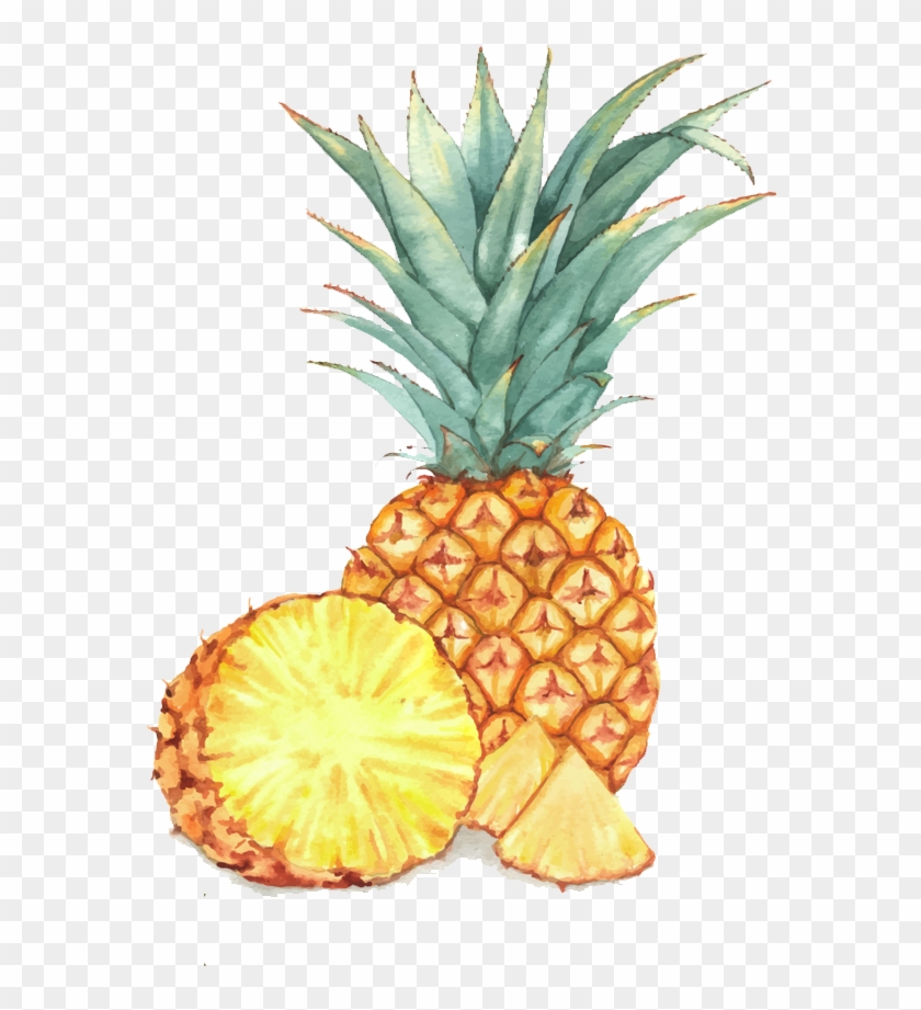 Watercolor Painting Illustration A Transprent Png Free - Watercolor Painting Of Pineapple Clipart #3543164