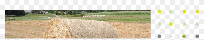 Yield Per Hectare, Thus Reducing The Requirement For - Field Clipart #3543793