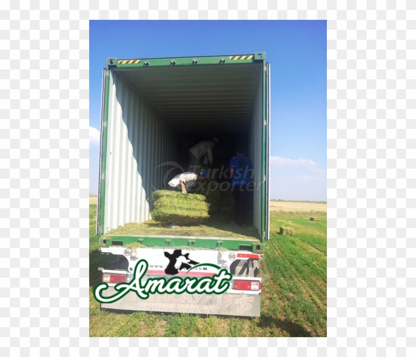 About Product - Grass Clipart #3544209