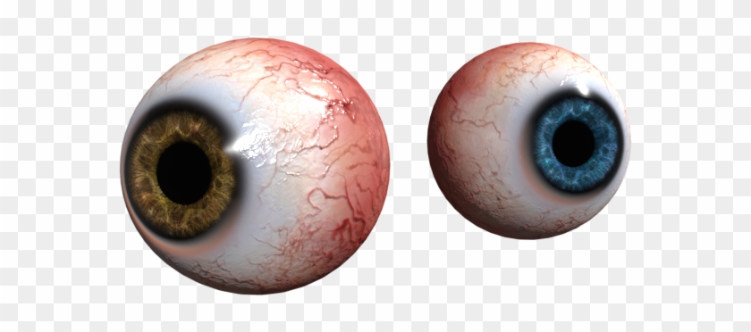 Eyes 3d Model Free Clipart
