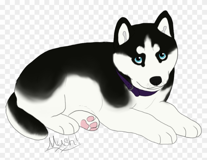 Pup 4= Female, Sable Colored Husky With Dual Colored - Husky With Blue Eyes Drawing Transparent Gif Clipart