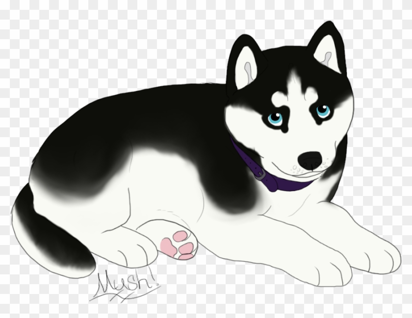 Pup 4= Female, Sable Colored Husky With Dual Colored - Husky With Blue Eyes Drawing Transparent Gif Clipart #3544598