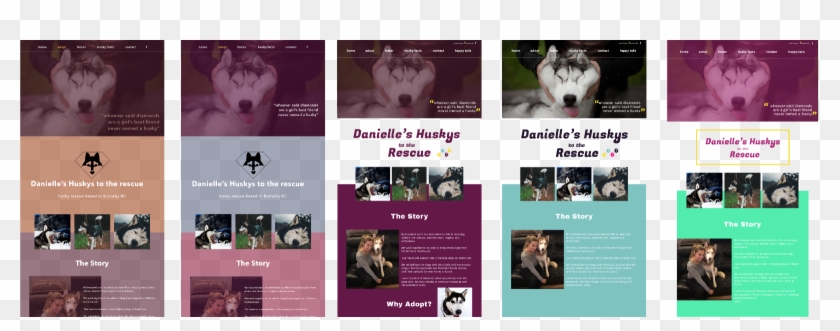 Many Failed Colour Attempts - Miniature Siberian Husky Clipart #3544726