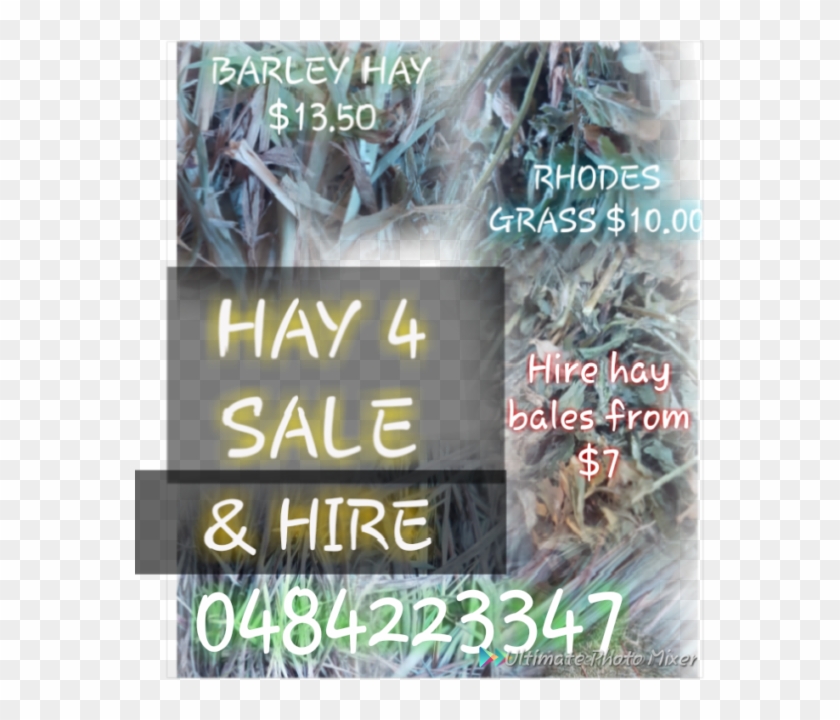 Rhodes Grass And Barley Hay - Grass Clipart #3544871