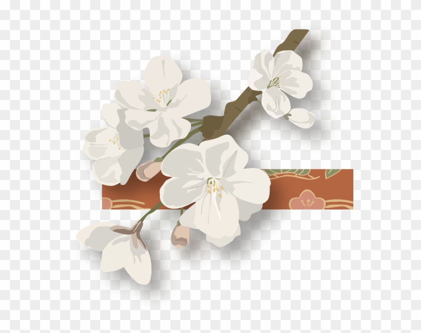 Dsc 8051shadow Flowers Left Flowers Right - Cherry Blossom Clipart #3545679