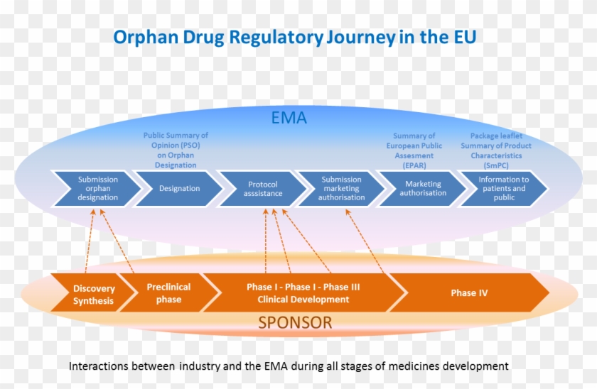 The Following Graph Shows All The Stages Of The Centralised - Business Plan Clipart #3547091