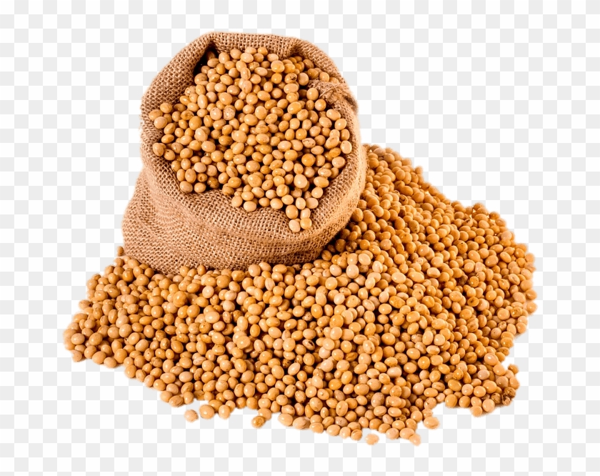 Bag Of Soybeans - Transparent Soybean Png Clipart #3548080