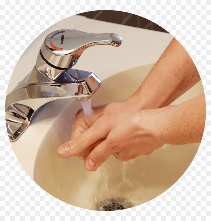 Eucalyptus Essential Oil With Free Organza Gift Bag - Tip To Stay Healthy This Rainy Season Clipart