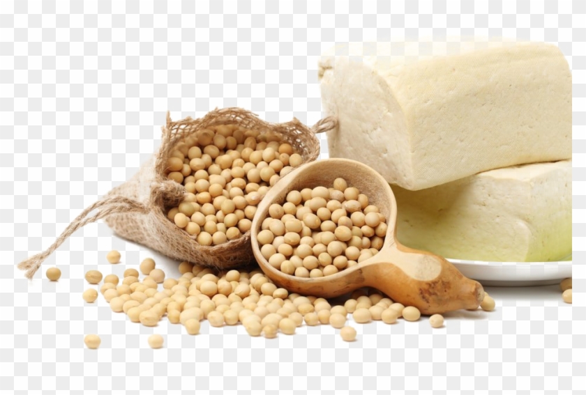 Soybean Png Pic - Testi Natural Lecithin Nasa Clipart