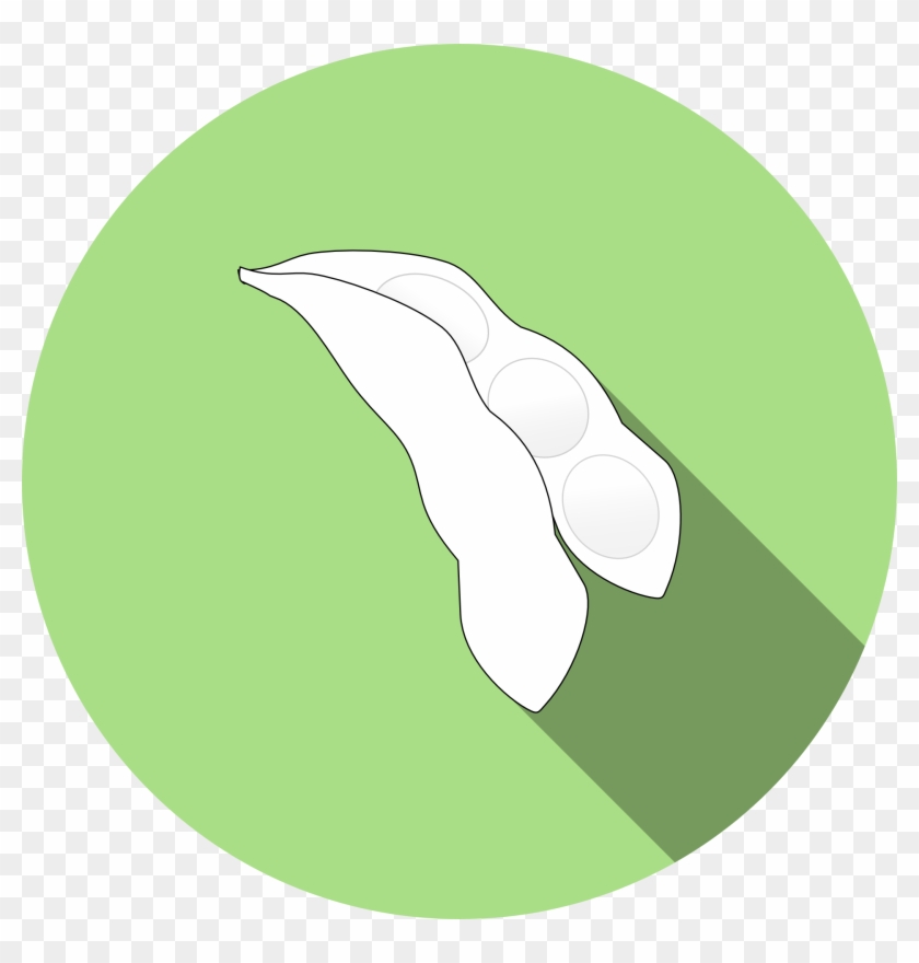Drawing Of Soy Beans For Icon - Soya Icon Clipart #3548294