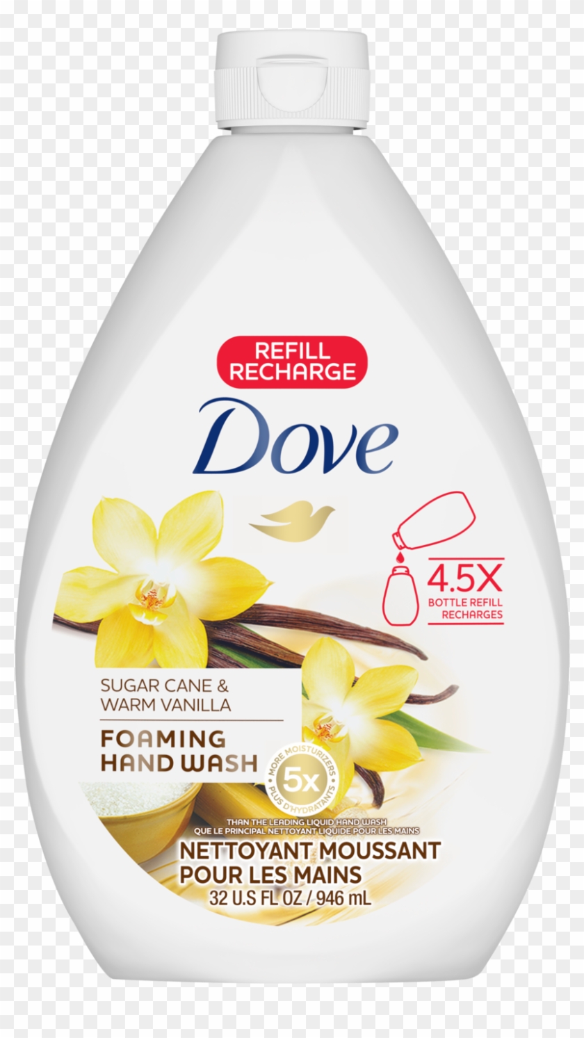 Dove Clipart #3548577