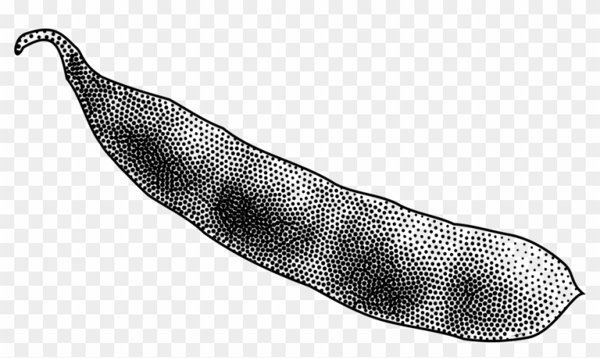Bean, Pod, Seed Pod, Soybean, Stipple - Seed Pod Clipart - Png Download #3548695