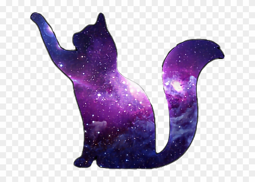 #purple #cat #scpurple #galaxy #cat #galaxycat #blue - Galaxy Cat Tumblr Png Clipart