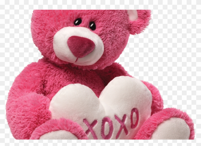 Pink Teddy Bear Png - Transparent Background Teddy Png Clipart #3549334