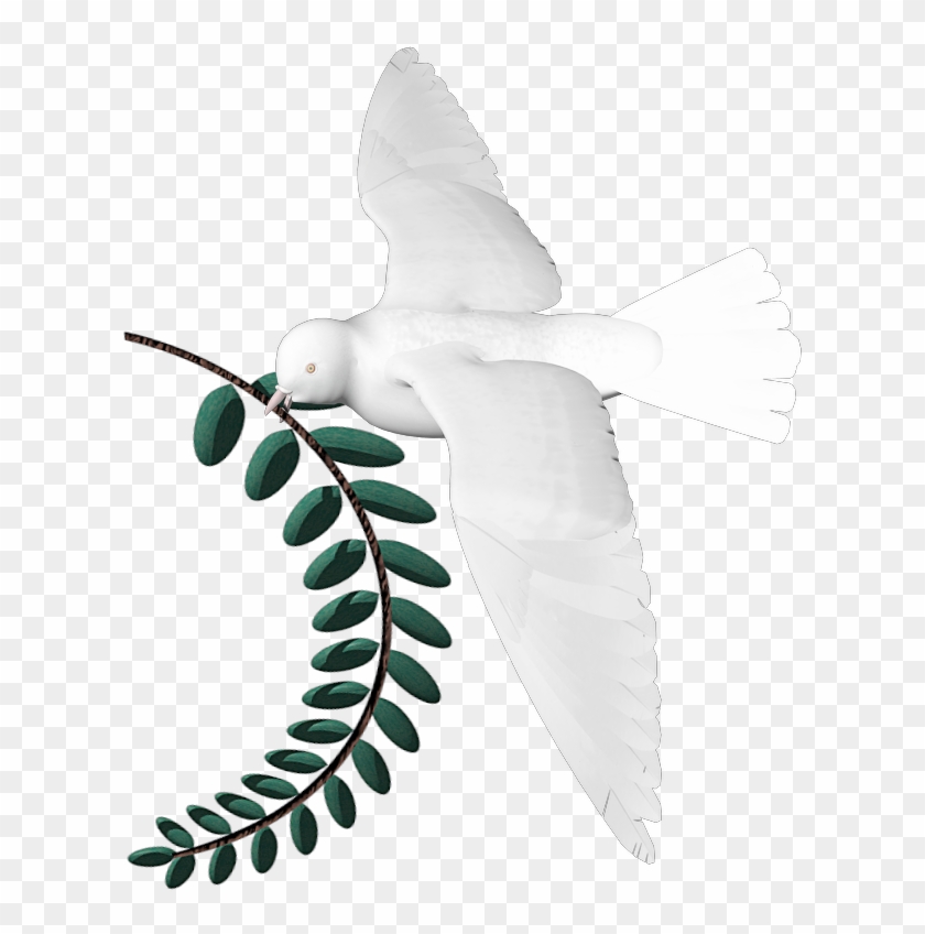 Png, Dove Larel Leaf - Illustration Clipart