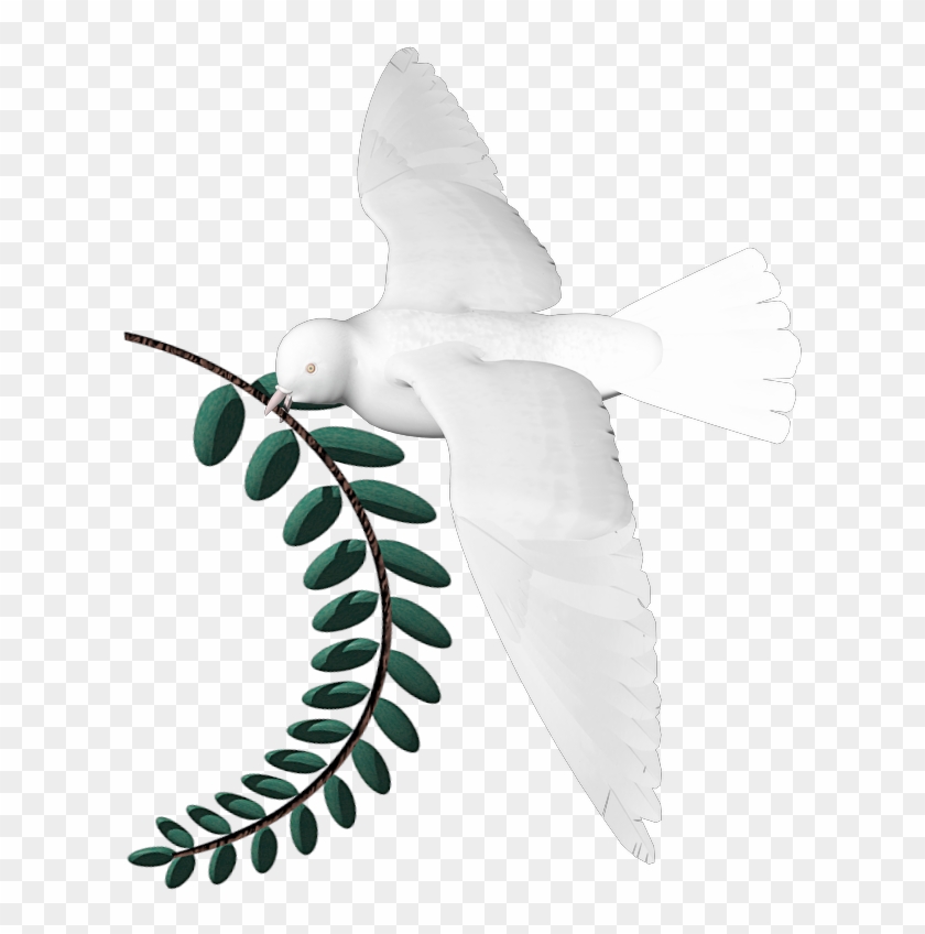 Png, Dove Larel Leaf - Illustration Clipart #3549960