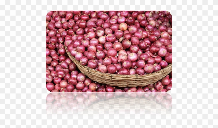 Bangladesh Onion Clipart