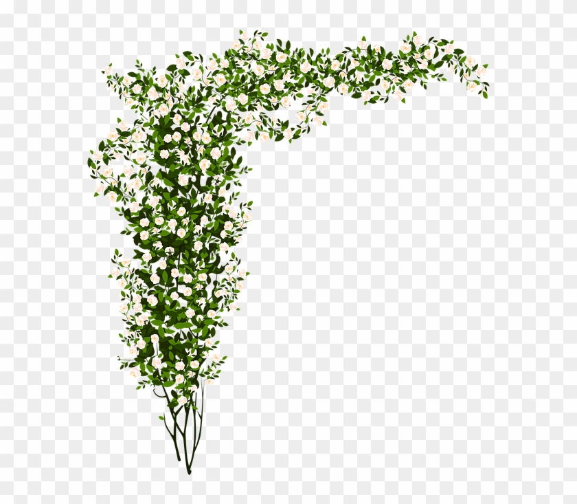 Arrangement Flowers Green Small Flower - White Flower Bush Png Clipart