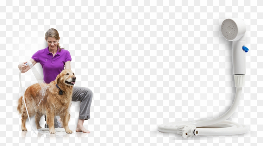 Quick And Easy At-home Pet Bathing - Bathing A Dog Png Clipart