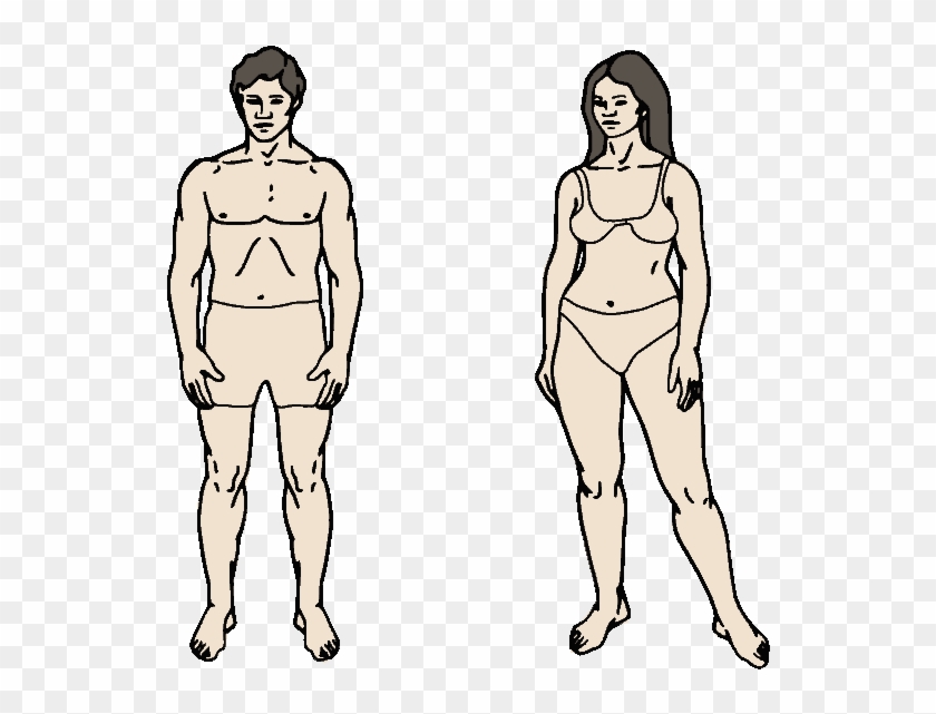 Input Body Parts Chart Clipart