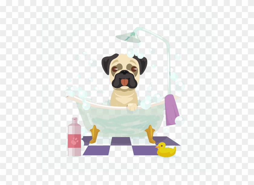 Dog Groomer - Pug Clipart