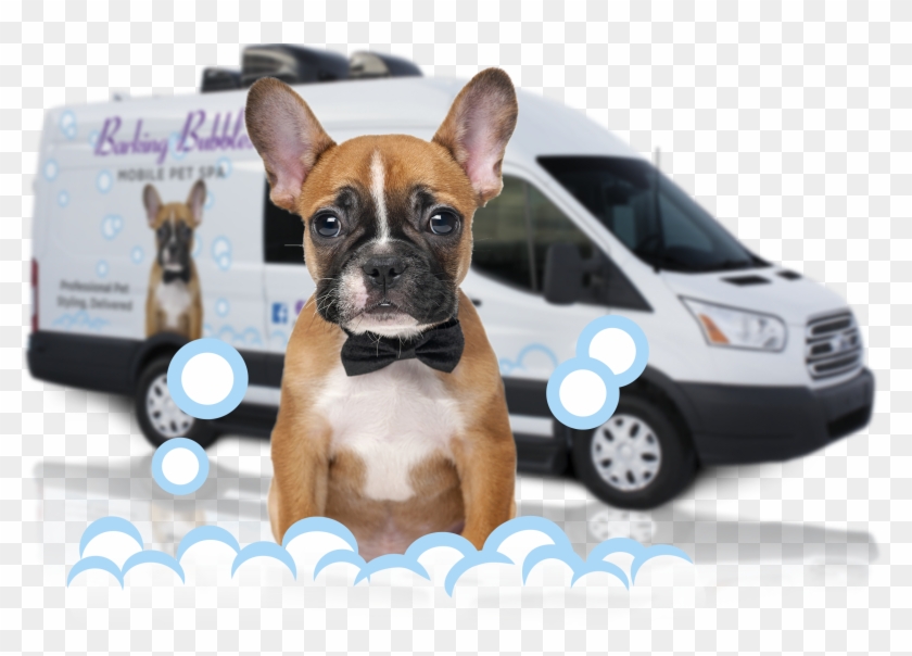 Mobile Pet Grooming Bath Bubbles Clipart