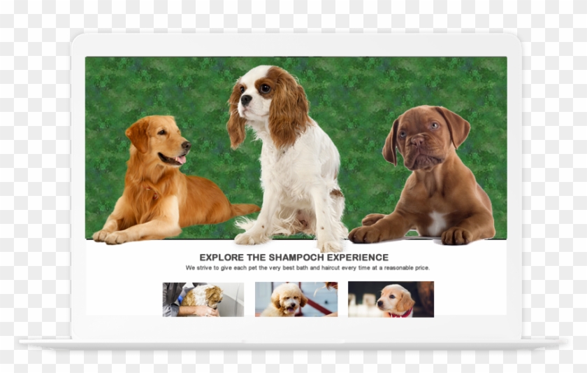 Image Is Not Available - Companion Dog Clipart