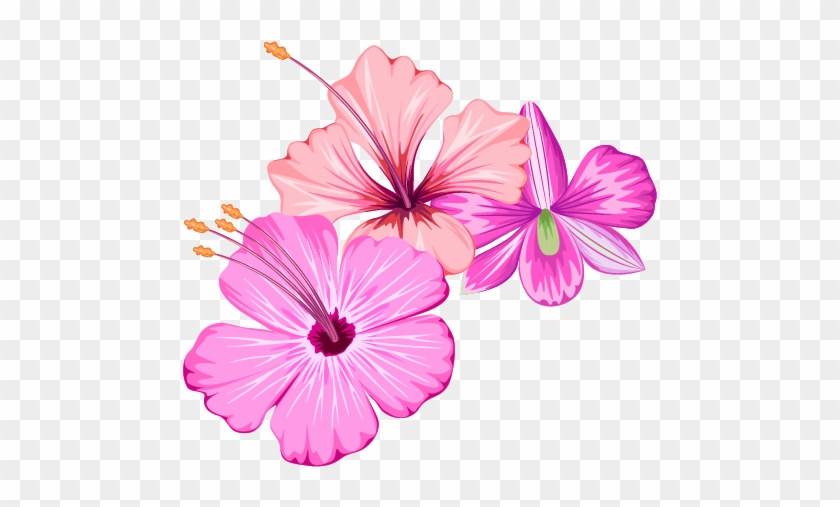 Small Fresh Flowers Flower Summer Free Transparent - Summer Flower Png Clipart #3552299