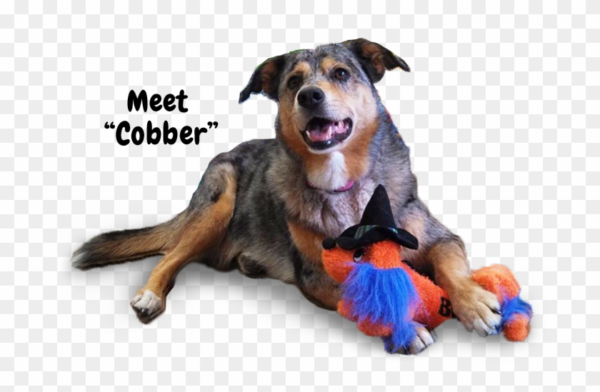 Grooming - Dog Yawns Clipart