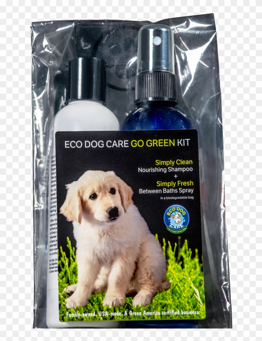 Eco Dog Care Products - Golden Retriever Clipart