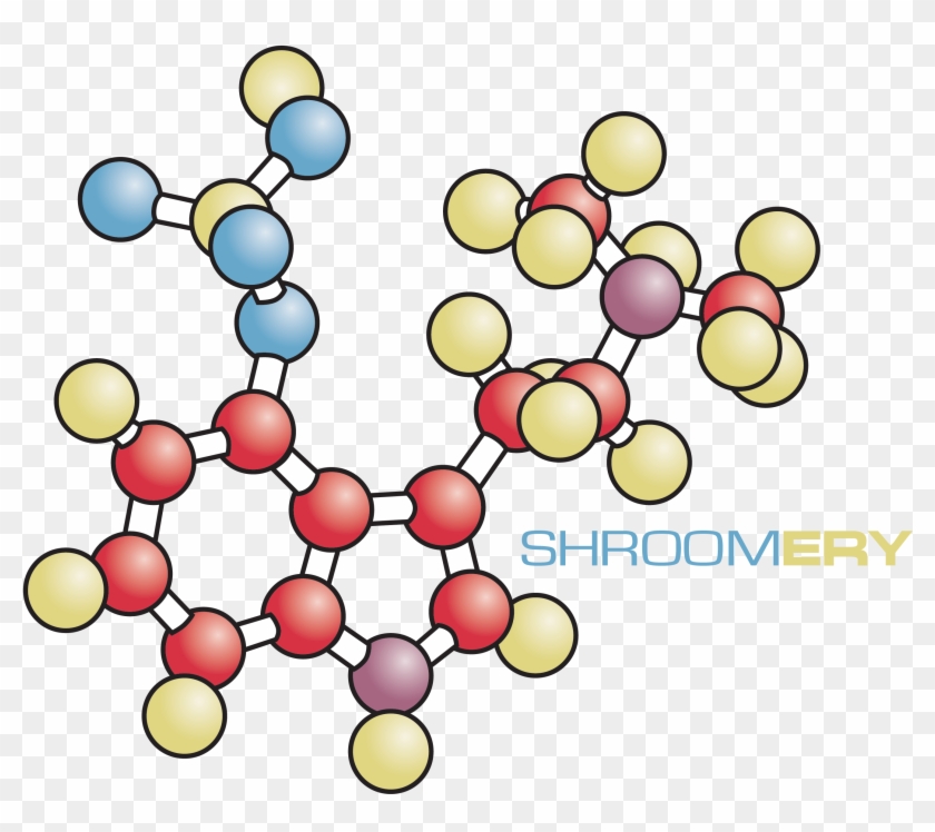 Psilocybin Light - Circle Clipart #3552933