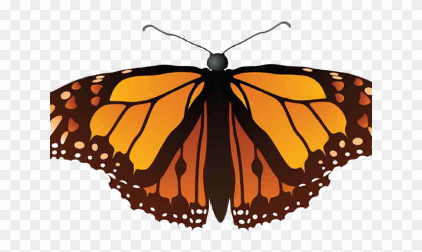 Original - Butterfly Vector High Resolution Clipart #3555873