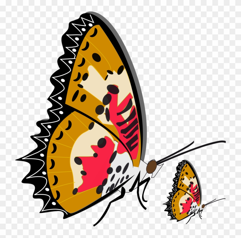 Vektor Kupu Png Clipart