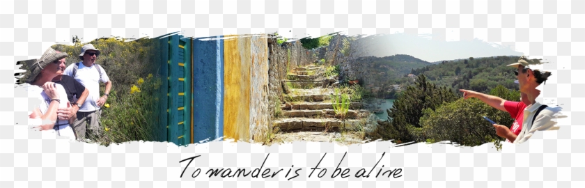 Walking Programs - Outcrop Clipart