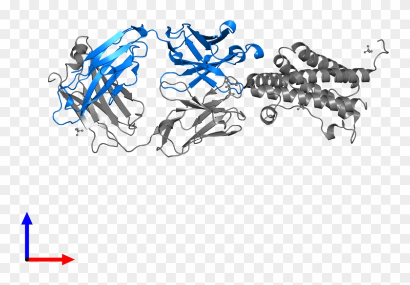<div Class='caption-body'>pdb Entry 4cni Contains 1 - Graphic Design Clipart